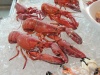 lobster company - delikatesse mit tucken