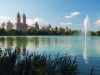 New York City Central Park