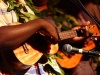 Ukulele, hawaiianische Musik