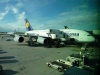 mit Lufthansa im A380 ging es nach Miami