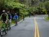 Kilauea Bike Adventure mit Gleichgesinnten