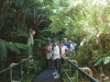 Tour Guide führt die kleine Gruppe durch den Regenwald