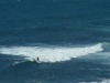 Surfer auf Oahu