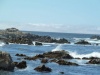 Küste bei Monterey