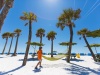 G2 Palm+Tree+Hammock+-+Clearwater+Beach