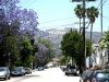 L.A. Hollywood