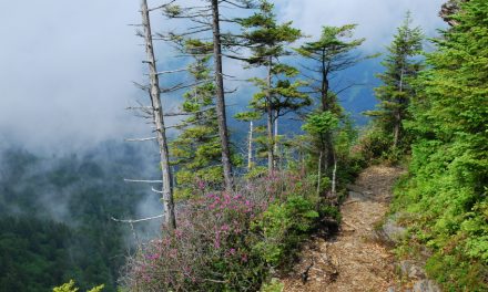 Südstaatenromantik im Great Smoky Mountain Nationalpark