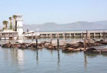 San Francisco, Fisherman's Wharf, Pier 39