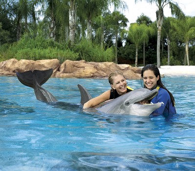 Schwimmen mit Delphinen in Discovery Cove