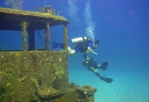 Tauchen in Palm Beach - diver wreck