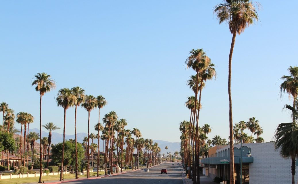 Palm Springs – Faszination pur