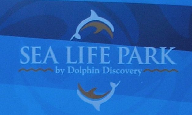 Sea Life Park außerhalb von Honolulu