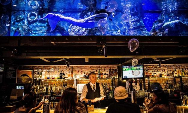 Rendezvous mit Meerjungfrauen – Dive Bar in Sacramento