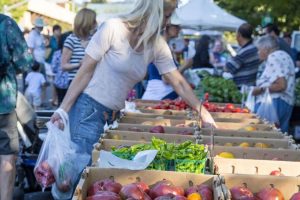 Märkte im Sonoma County mit frischem Obst und Gemüse @SonomaCountyTourism