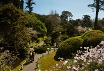 Golden Gate Park, Japanese Tea Garden © Visit California, bongo