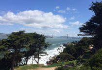 Blick auf die Golden Gate Bridge vom Presidio Park
