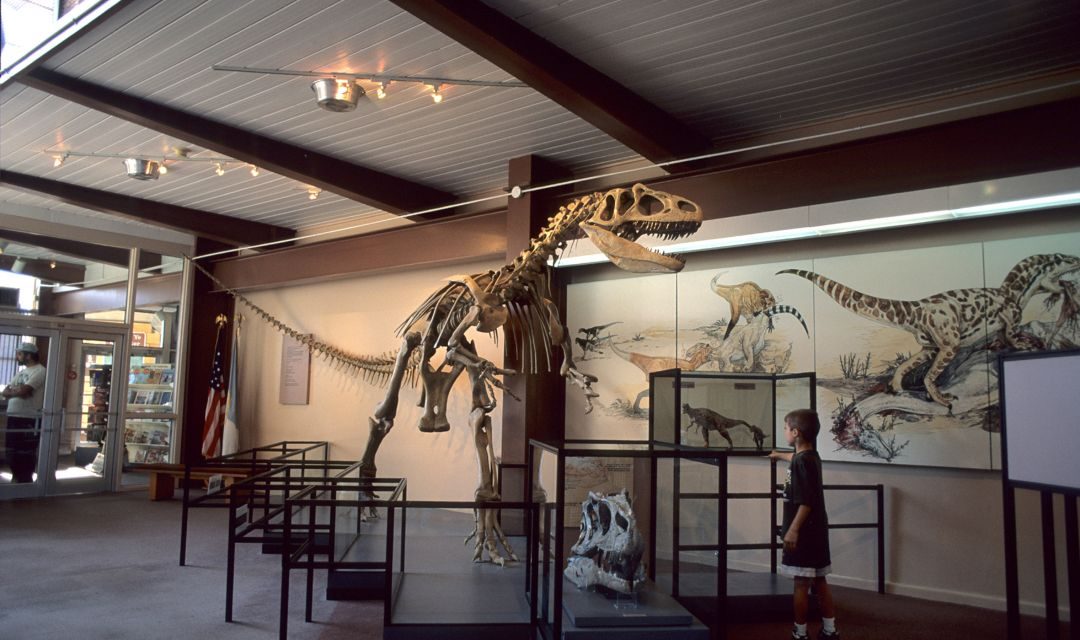 Reisen in die Urzeit – Dinosaurier in Utah