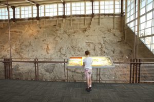 Wall of Bones im Dinosaur NAtionaöl Monument