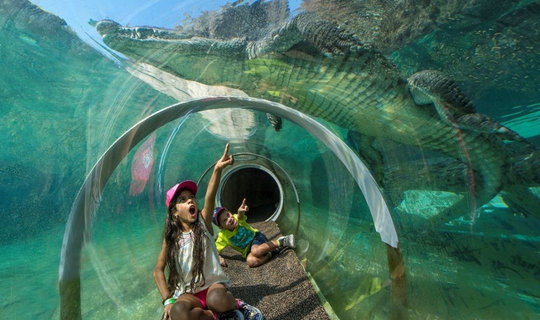 Zoo Miami – Tiere erobern die Herzen von Groß und Klein