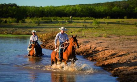 Cowboys & Prärielandschaften – Outdoor Erlebnis Texas