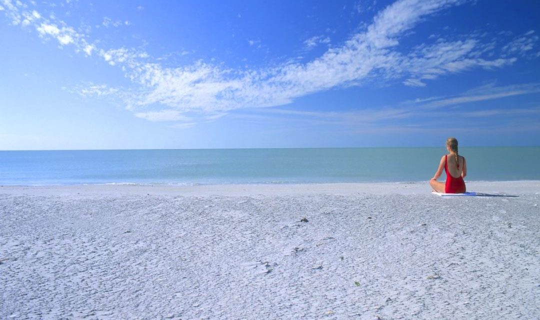 Florida Pur: Punta Gorda & Englewood Beach
