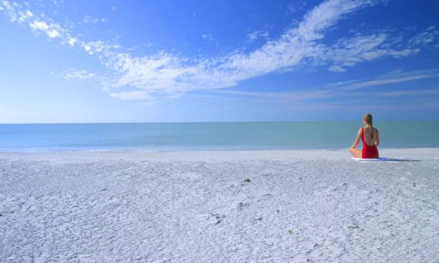 Florida Pur: Punta Gorda & Englewood Beach