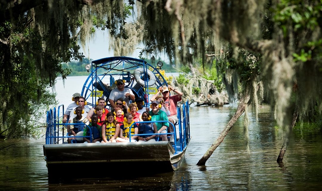 New Orleans Sumpftouren – die Heimat der Krokodile erkunden
