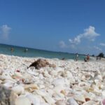 Nokomis & Casey Key in Florida – unser Geheimtipp an der Golfküste