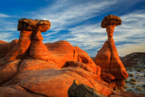 Grand Staircase - DS - Toadstools-0021 - KCOT-X2