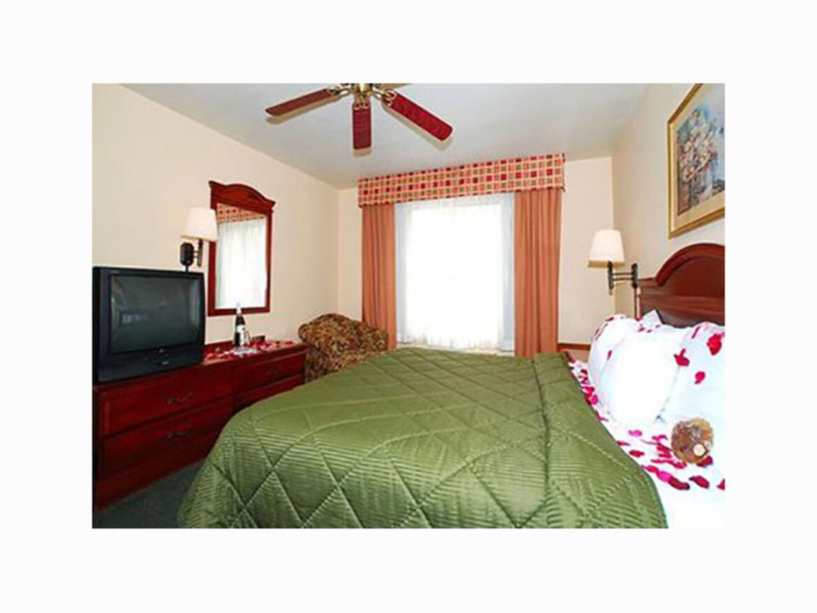 Comfort Inn & Suites 5