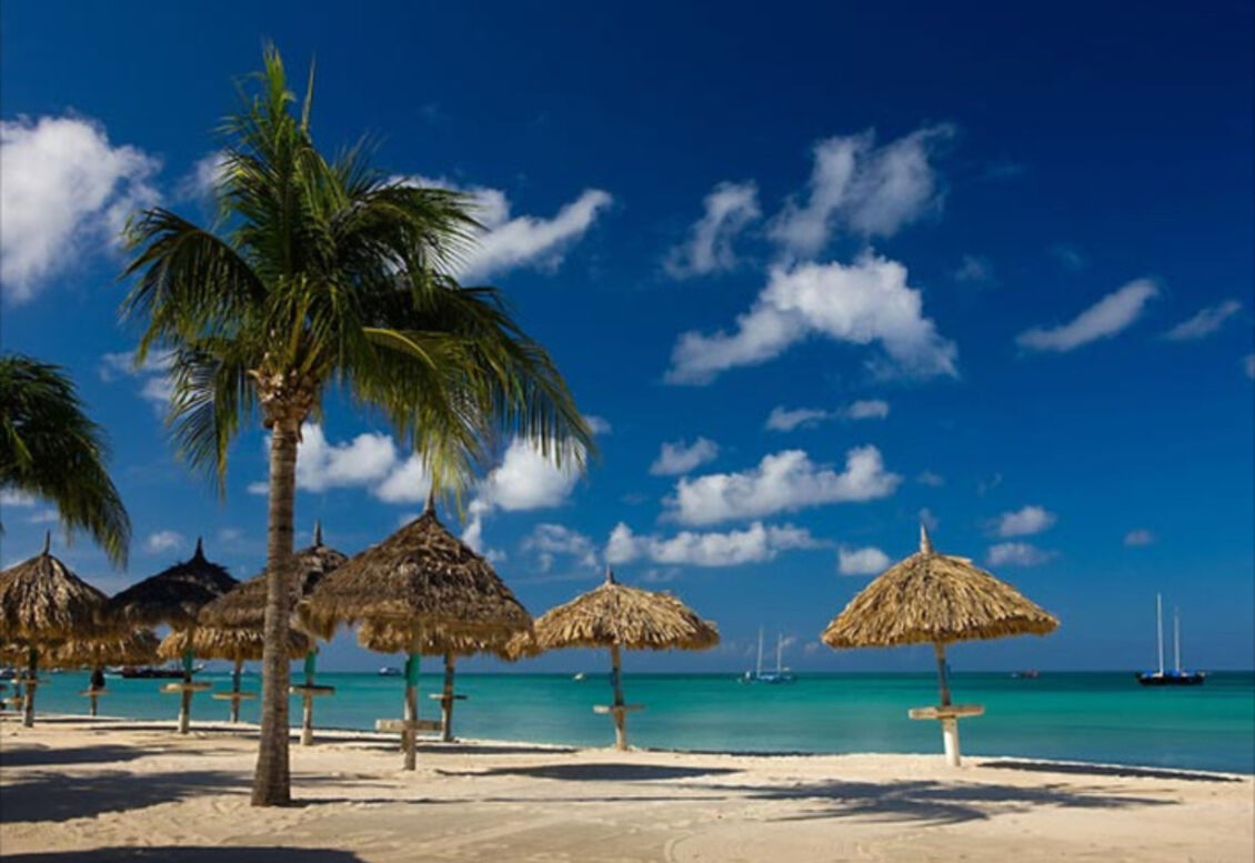 Aruba Marriott Resort & Stellaris 8