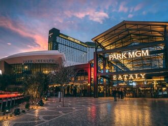 Park MGM Las Vegas 2