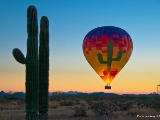 4-2 Scottsdale, Fahrt im Heißluftballon über die Sonora Wüste