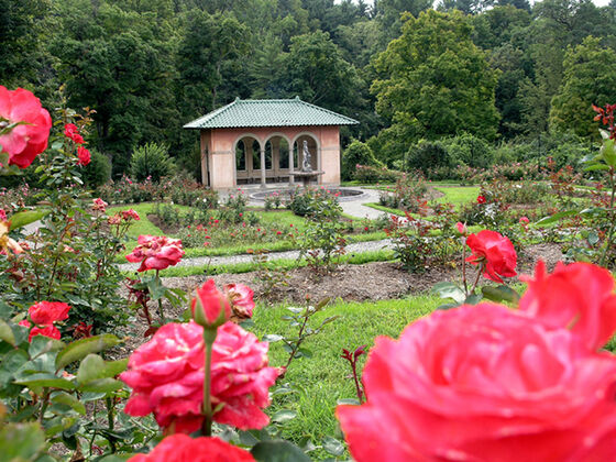 Garten Vanderbilt Mansion