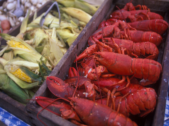 Lobsters and Corn