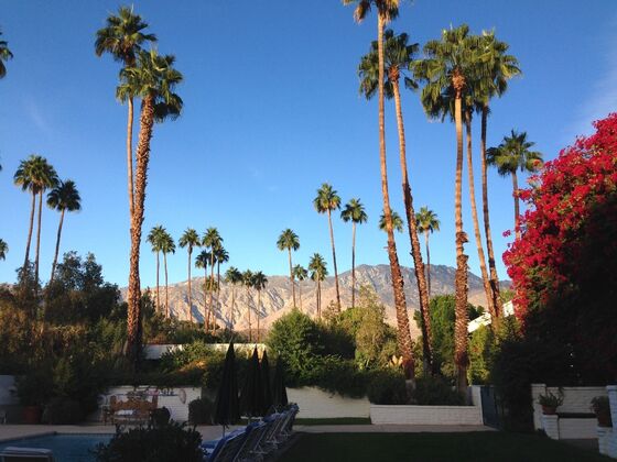 5 Palm Springs - Palmenoase vor einer Bergkulisse