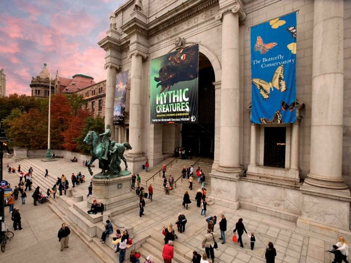 Museen-American Museum of Natural History
