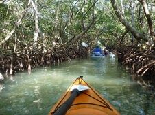 mangoven kayak